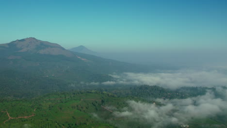 4k-Aerial-Dolly-Forward-Shot-of-Flying-up-above-the-clouds-on-a-green-forest-towards-mountains-of-Wayanad