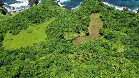 Aerial-dolly-bird's-eye-view-of-terraced-fields-hidden-in-tropical-forest-on-coastline-of-philippines