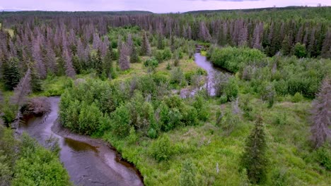 tree-top-aerial-the-funny-river-near-soldotna-alaska