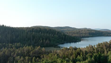 Evergreen-Coniferous-Forest-And-Lake-Near-Rural-Village