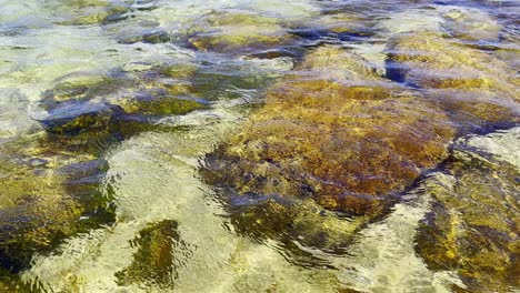 Klarer-Ozean-Mit-Meeresboden-Voller-Steine-Und-Algen,-Kleine-Wellen-An-Der-Oberfläche