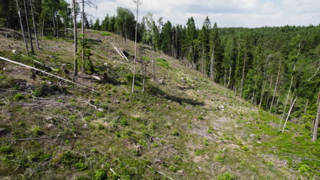 Luftaufnahme-über-Abgeholztes-Waldgebiet-Mit-Umliegendem-Grünem-Wald-Auf-Einem-Hügel