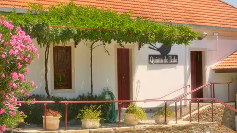 Static-shot-of-a-village-house-alongside-beautiful-Quinta-do-Tedo-vineyard-in-Douro-Valley,-Porto,-Portugal-on-a-sunny-day
