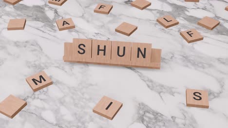 Shun-word-on-scrabble