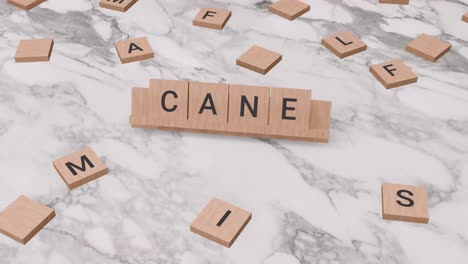 Cane-word-on-scrabble