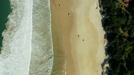 Wellen,-Die-An-Die-Küste-Krachen