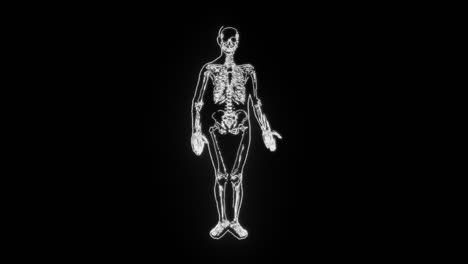 The-human-body