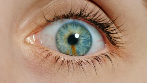 Blink,-blue-eye-and-vision-with-macro-of-woman