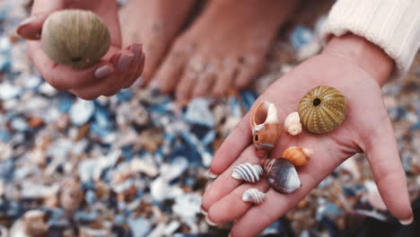 Sea-shells,-beach-and-travel-with-a-woman