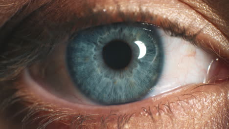 Blue-Eye-Zoom,-Vision-Oder-Denkendes-Modell