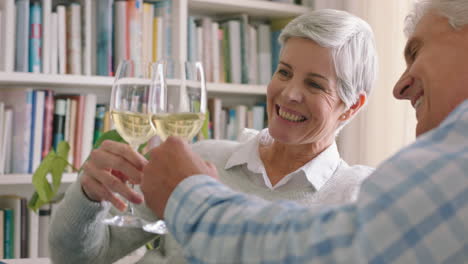 Retirement,-relax-and-toast-with-couple-on-sofa