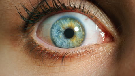 Vision,-awareness-and-blue-eye-woman