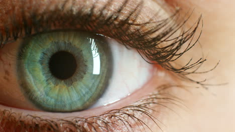 Grünes-Auge,-Makro-Oder-Vision