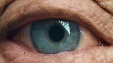 Makrobild-Der-Grünen,-Blauen-Augenfarbe