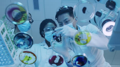 Young-scientists-experimenting-with-petri-dish