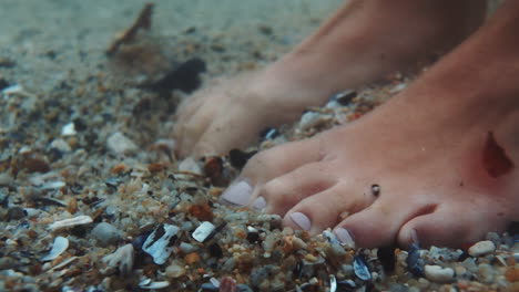 Feet,-sea-and-shells-with-the-barefoot-woman