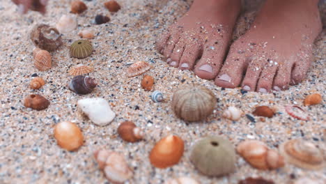 Feet-of-woman,-beach-and-gathering-seashells