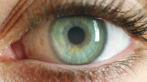 Zoom-Nahaufnahme-Des-Auges,-Biometrische-Innovation