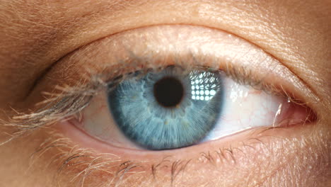 Macro-Ojo-Azul,-Iris-Y-Visión-De-Una-Pupila