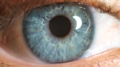 Ojos-De-Color-Azul-Y-Enfoque,-Visión