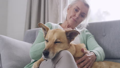 Happy-senior-woman-petting-her-mix-breed-dog