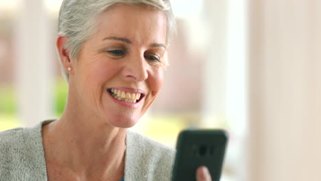 Phone,-video-call-and-senior-woman-talking