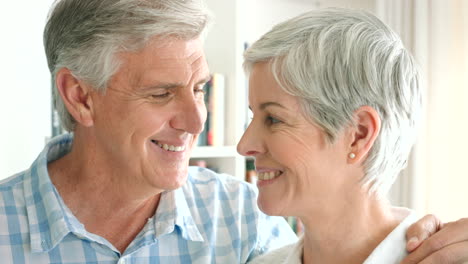 Seniorenpaar,-Ruhestandsporträt