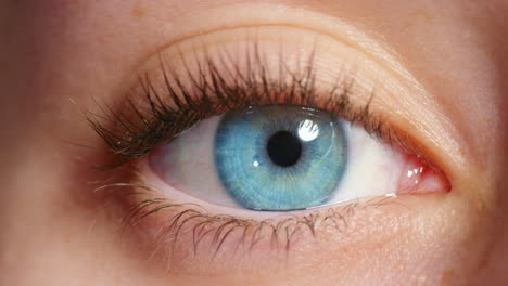 Eye,-vision-and-sight-with-the-blue-eyes