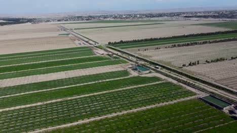 Aerial-Views-of-Farm-Lands-and-Irrigation-Systems-in-Nangarhar