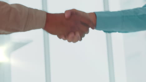 Welcome-shaking-hands,-business-meeting