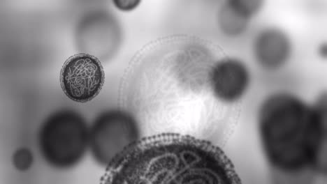 Microscope-bacteria,-virus-particles
