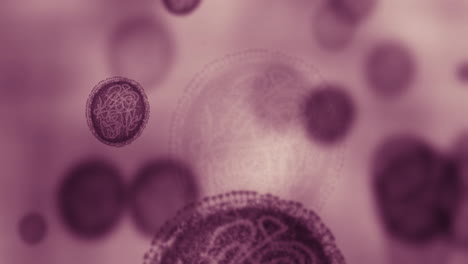 Covid,-Virus-Und-Biologie-Mit-Einem-Zoom-Auf-Zellen