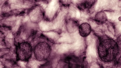 Virus,-rna-and-bacteria-molecules-in-a-scientific