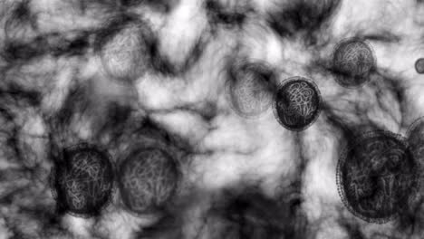 Microscopio-Bacterias,-Moléculas-De-Virus