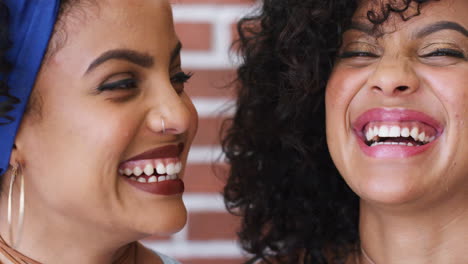 Portrait-black-women,-identical-twins-and-happy