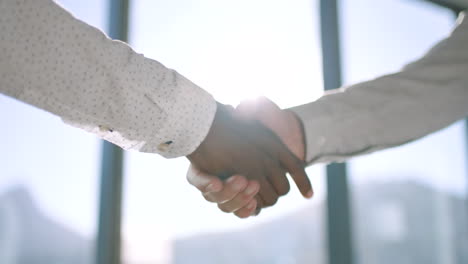 Diversity-business-people-handshake-for-promotion