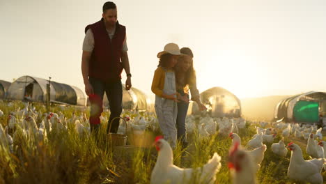 Chicken,-family-and-farm-with-a-girl