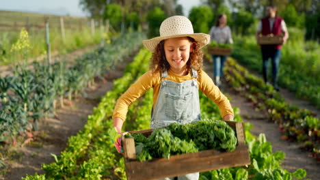 Agriculture,-plant-and-portrait-of-girl-on-farm