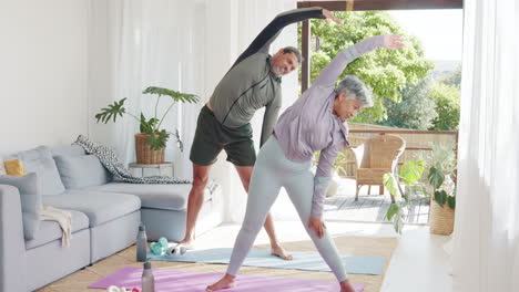 Fitness,-exercise-and-senior-couple-in-home-doing