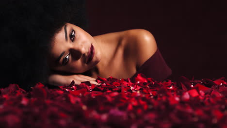 Model,-Gesicht-Oder-Blütenblätter-Aus-Roter-Rose