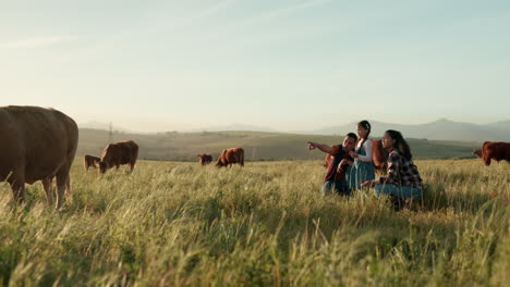 Rinder,-Kuh-Und-Bauer-Mit-Familie-Auf-Einem-Bauernhof