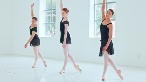 Ballett,-Tanz-Und-Kunst-Mit-Ballerina-Freundinnen