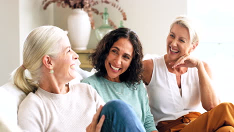Ältere-Frauen,-Freunde-Und-Wiedersehen-Zu-Hause-Im-Gespräch
