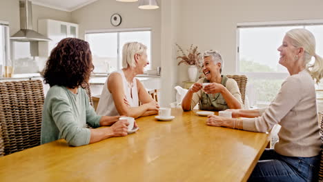Friends,-talking-and-visit-with-a-senior-woman
