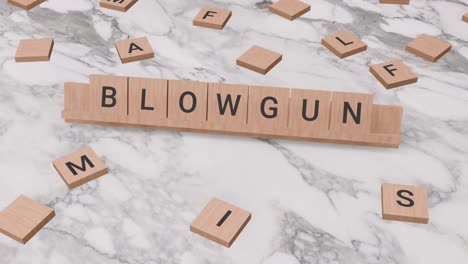 BLOWGUN-word-on-scrabble