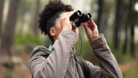 Hiking,-forest-and-woman-with-binocular-watch