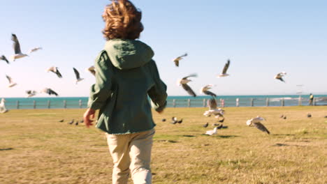 Freiheit,-Ozean-Und-Vorbeilaufendes-Kind-Mit-Vögeln