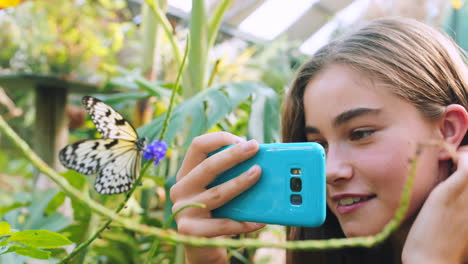 Telefon,-Schmetterling-Und-Mädchen,-Die-Im-Zoo-Fotografieren
