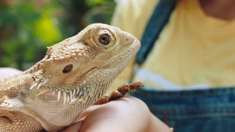 Animals,-nature-and-girl-with-iguana-in-hands