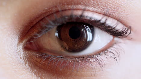 Eye,-vision-and-brown-color-of-eyes-for-optometry
